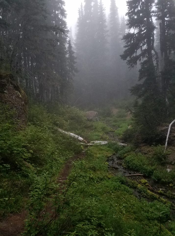 45141383_1748368945288682_651369414351912960_n